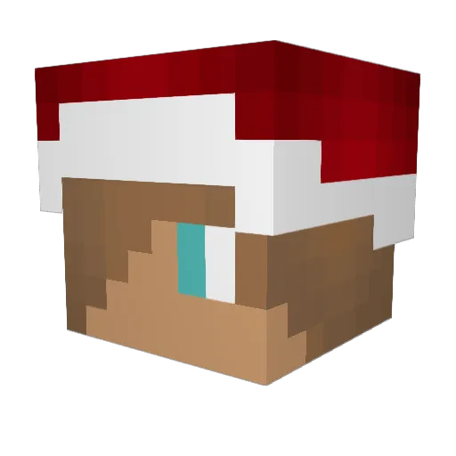 CookieMonster134 Minecraft avatar head, 3D render