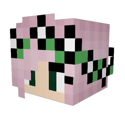 CookieMonster246 Minecraft avatar head, 3D render