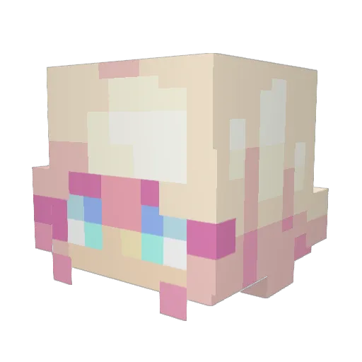 CookieMunchie583 Minecraft avatar head, 3D render