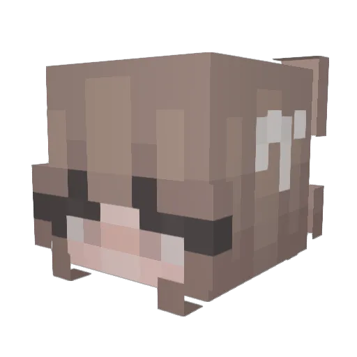 CookieNob1 Minecraft avatar head, 3D render
