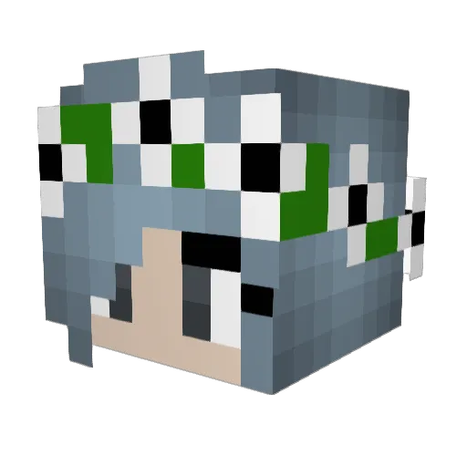 CookiePotato12 Minecraft avatar head, 3D render