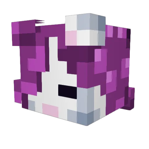 CookieStarStar Minecraft avatar head, 3D render