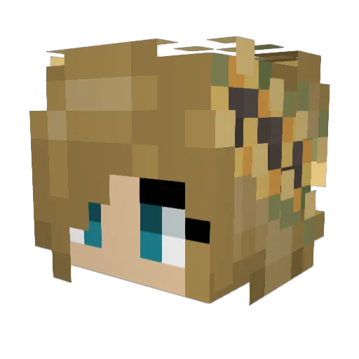 CookieWookieD702 Minecraft avatar head, 3D render