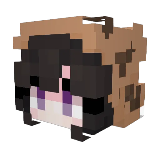 Cookie_Bunny Minecraft avatar head, 3D render