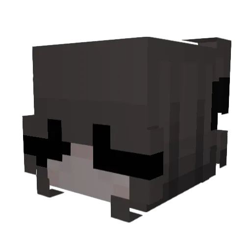 Cookieana Minecraft avatar head, 3D render