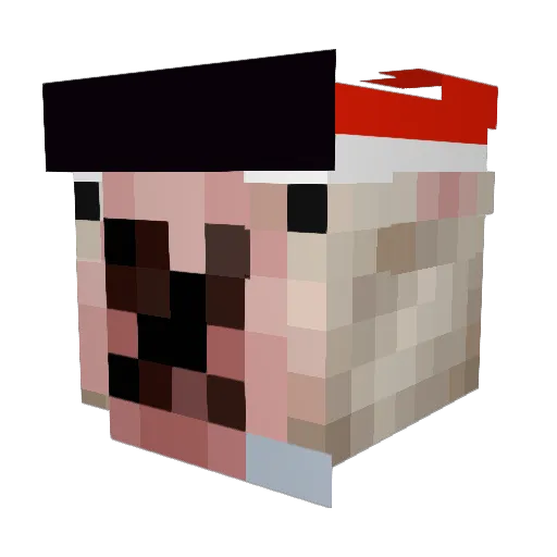 Cookiecake5001 Minecraft avatar head, 3D render