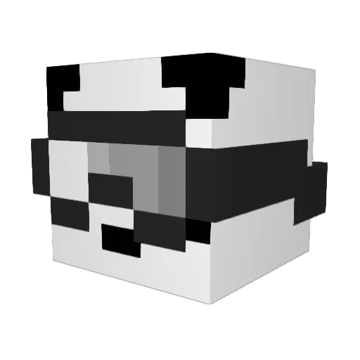 Cookiecat_101 Minecraft avatar head, 3D render