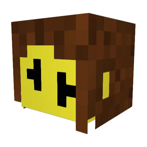 Cookiedk9002 Minecraft avatar head, 3D render