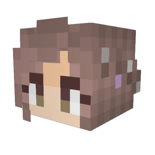 Cookiefox101 Minecraft avatar head, 3D render
