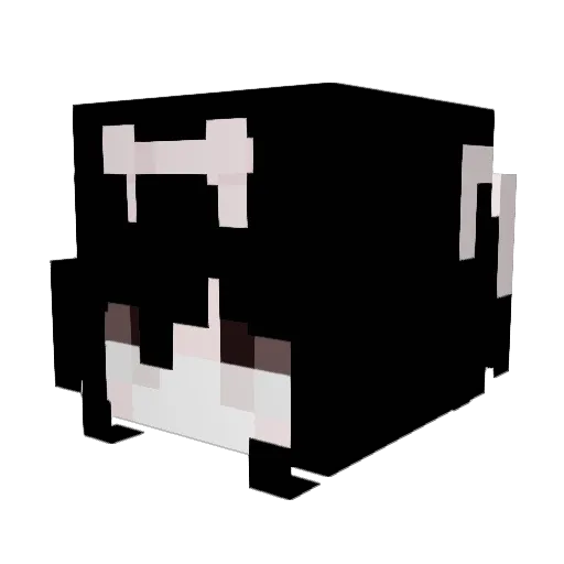 Cookiemochii19 Minecraft avatar head, 3D render