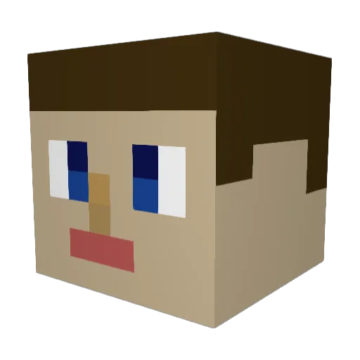 Cookienator172 Minecraft avatar head, 3D render