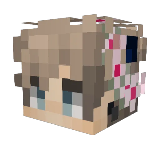 Cookiepanda56 Minecraft avatar head, 3D render
