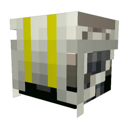 Cookies135 Minecraft avatar head, 3D render