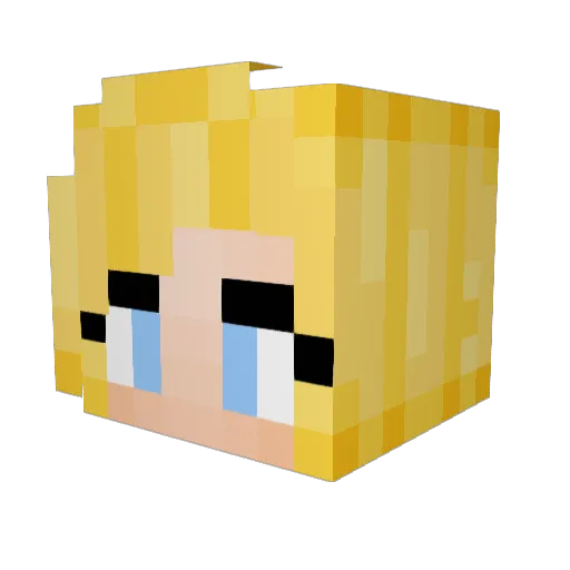 Cookies2008 Minecraft avatar head, 3D render
