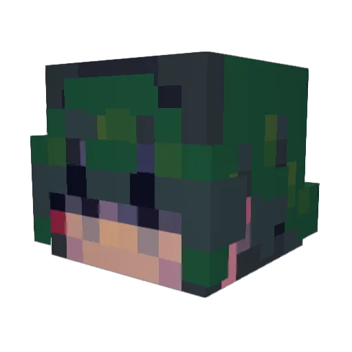 Cookies4evr Minecraft avatar head, 3D render