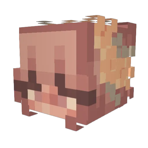 CookiesCrum2742 Minecraft avatar head, 3D render