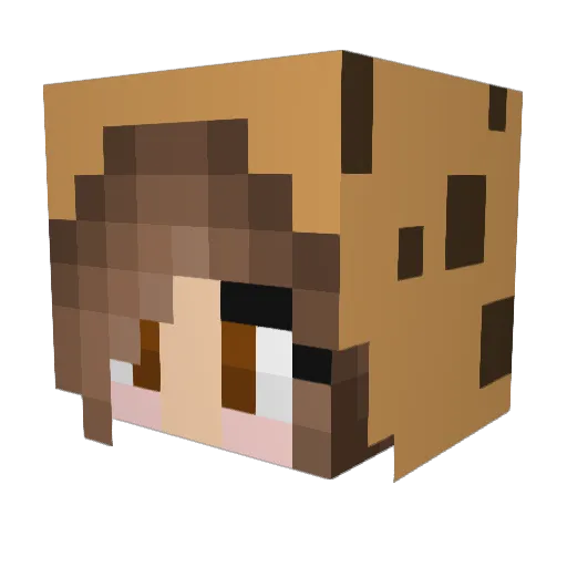 CookiesRGood Minecraft avatar head, 3D render