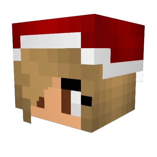 Cookies_309 Minecraft avatar head, 3D render