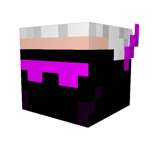 Cookies_Gamer Minecraft avatar head, 3D render