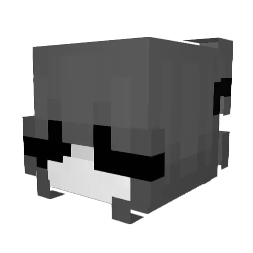 Cookiesister450 Minecraft avatar head, 3D render