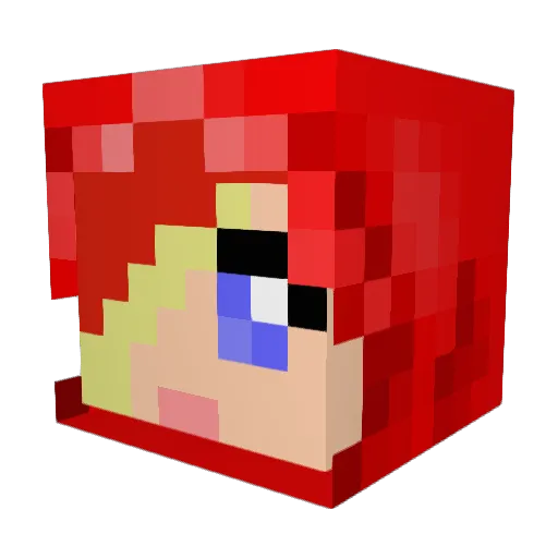 Cookiesuppe Minecraft avatar head, 3D render