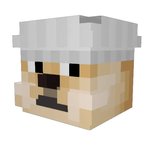 CookingDoggo Minecraft avatar head, 3D render