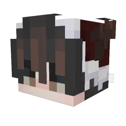 CookingStick Minecraft avatar head, 3D render