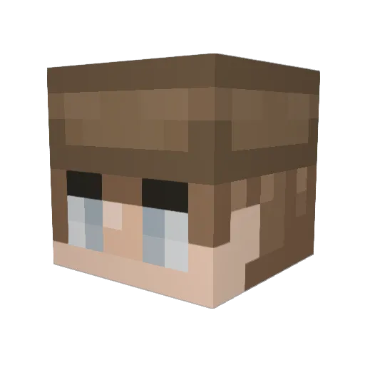CookingTiger Minecraft avatar head, 3D render