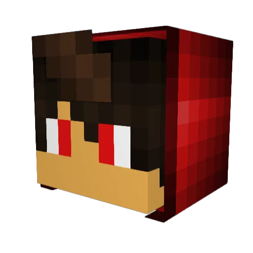 Cooky502 Minecraft avatar head, 3D render