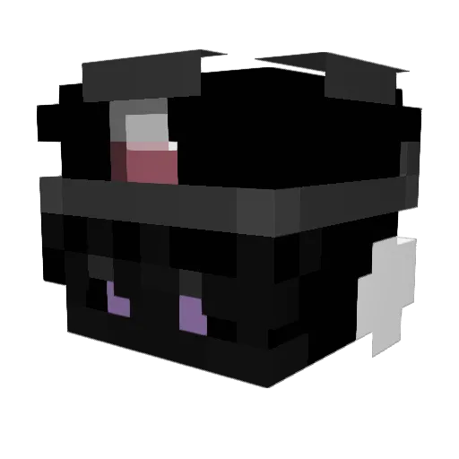 Cool0rdo Minecraft avatar head, 3D render