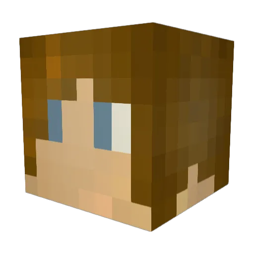 CoolAcid Minecraft avatar head, 3D render