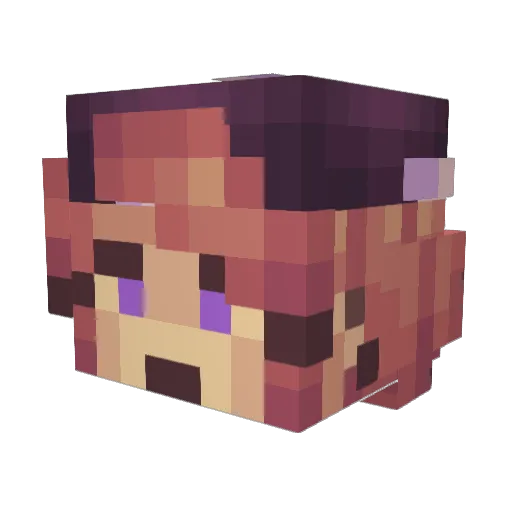 CoolAndHipName Minecraft avatar head, 3D render