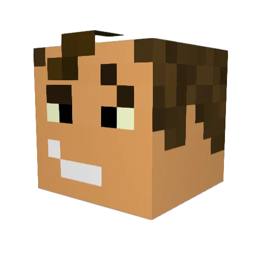 CoolAsPig Minecraft avatar head, 3D render