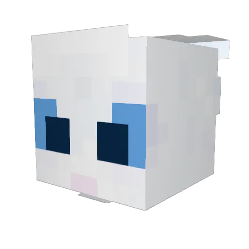 CoolBeans90000 Minecraft avatar head, 3D render