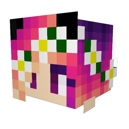 CoolBox104 Minecraft avatar head, 3D render