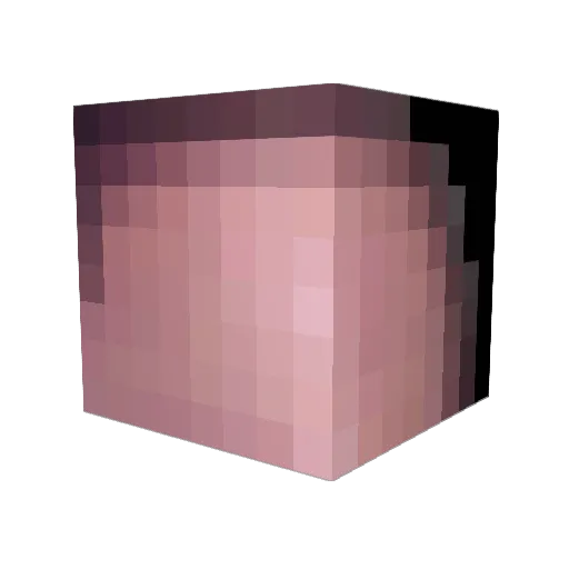 CoolBrah123 Minecraft avatar head, 3D render