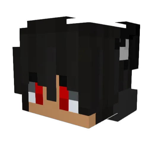 CoolCat1262 Minecraft avatar head, 3D render