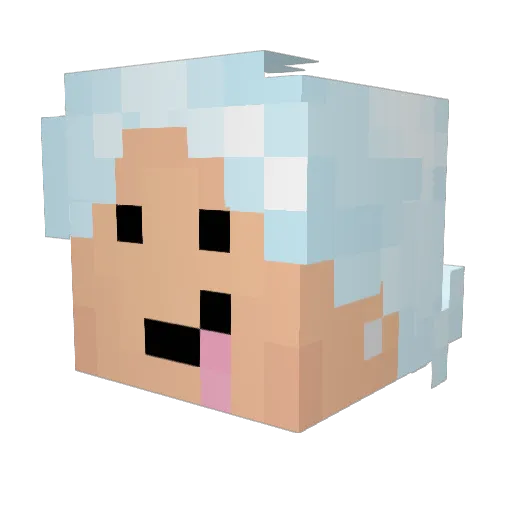 CoolCatConner Minecraft avatar head, 3D render