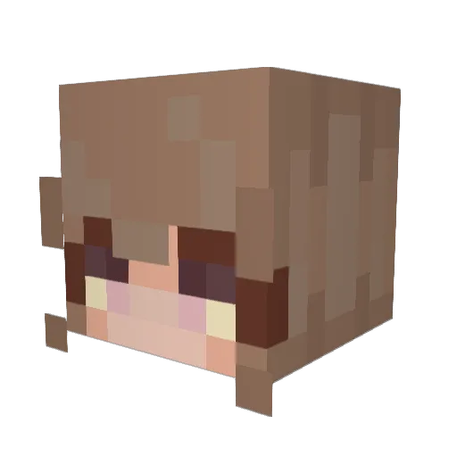 CoolCatLover32 Minecraft avatar head, 3D render