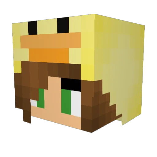 CoolCatPerson Minecraft avatar head, 3D render