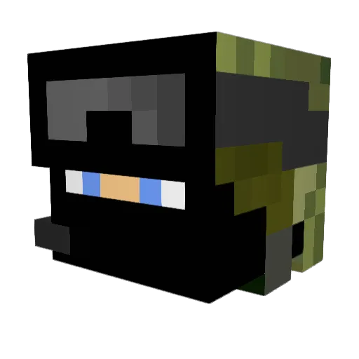 CoolCatfish420 Minecraft avatar head, 3D render