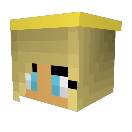 CoolChick_02 Minecraft avatar head, 3D render