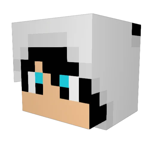 CoolCraft64 Minecraft avatar head, 3D render