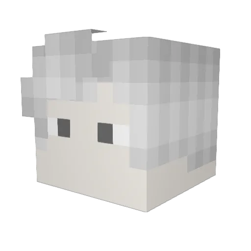 CoolCrafter81 Minecraft avatar head, 3D render