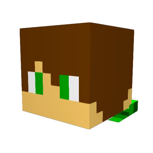 CoolCreeper2468 Minecraft avatar head, 3D render