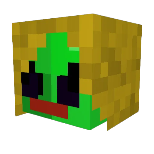 CoolCreeper370 Minecraft avatar head, 3D render