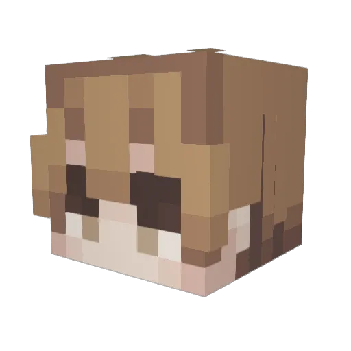 CoolCubbieMan13 Minecraft avatar head, 3D render
