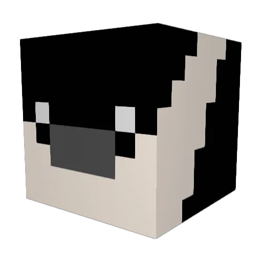 CoolDoggo871 Minecraft avatar head, 3D render