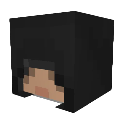CoolDude47 Minecraft avatar head, 3D render