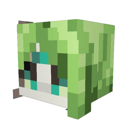CoolDude640000 Minecraft avatar head, 3D render